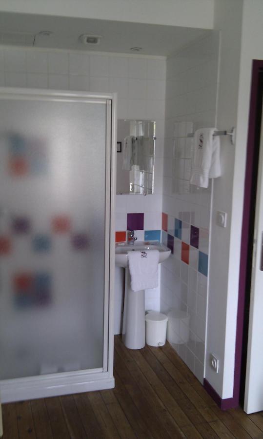 Select Hotel Le Mans Room photo